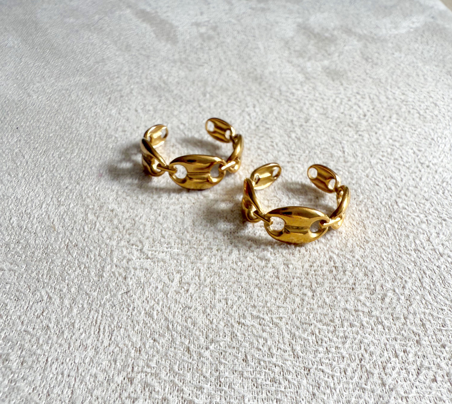 Anillo eslabón