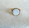 Anillo polar